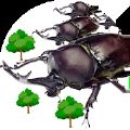 甲虫之间的战斗(AttackBeetle)